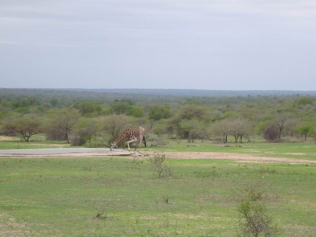 Image 5 of 78  -  35 kB