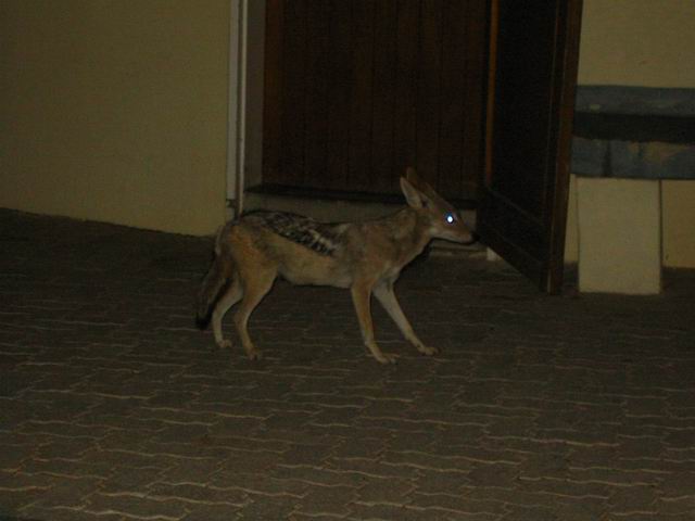 Image 41 of 78  -  29 kB
