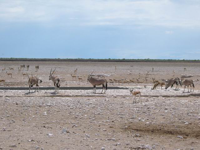 Image 43 of 78  -  57 kB