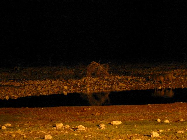 Image 44 of 78  -  44 kB