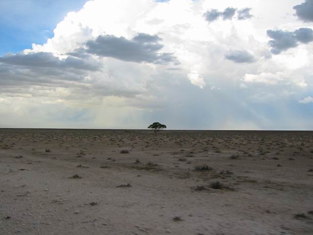 Image 10 of 32  -  33 kB