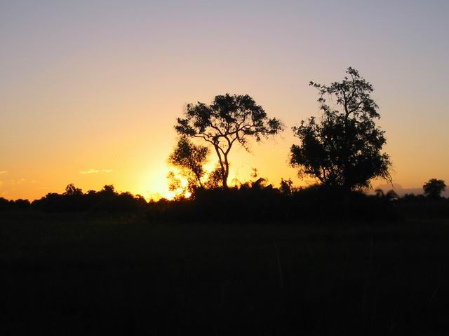 Image 29 of 32  -  27 kB