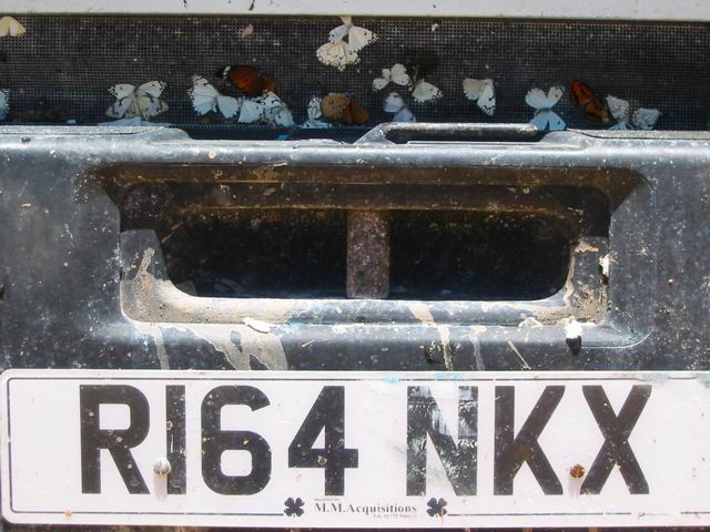 Image 20 of 42  -  63 kB