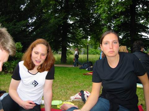Image 31 of 74  -  43 kB