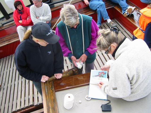 Image 37 of 184  -  65 kB