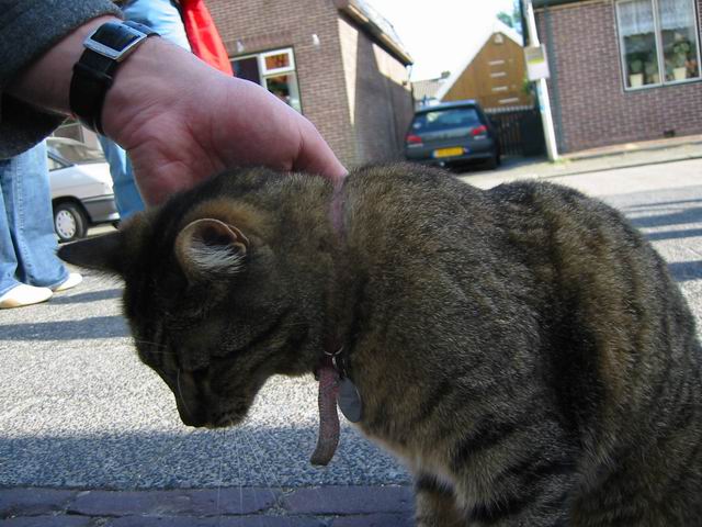 Image 54 of 184  -  61 kB