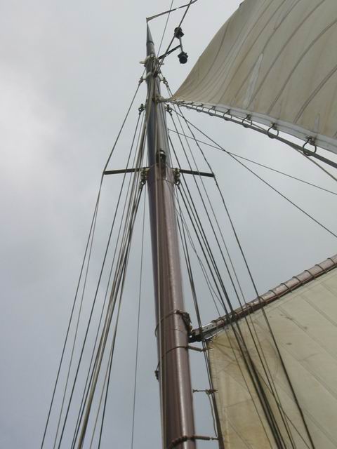 Image 115 of 184  -  39 kB