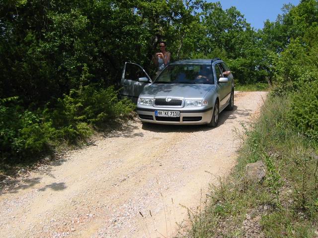 Image 40 of 186  -  87 kB