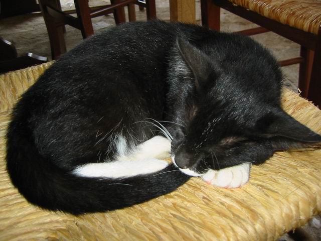 Image 115 of 186  -  53 kB
