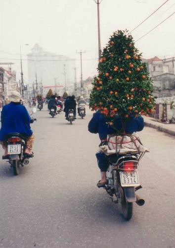 Image 15 of 57  -  58 kB