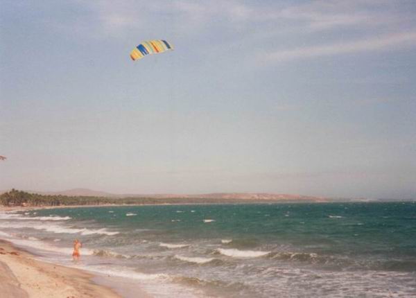 Image 51 of 57  -  29 kB